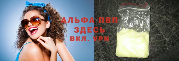 стаф Майский