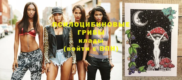 стаф Майский