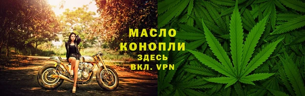 стаф Майский