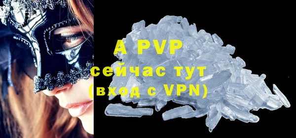 стаф Майский
